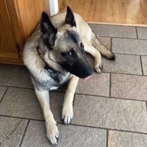 Meet your Posher, Vincent